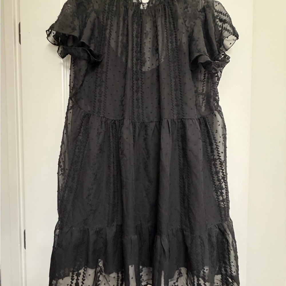 Forever 21 Black Sheer Dress